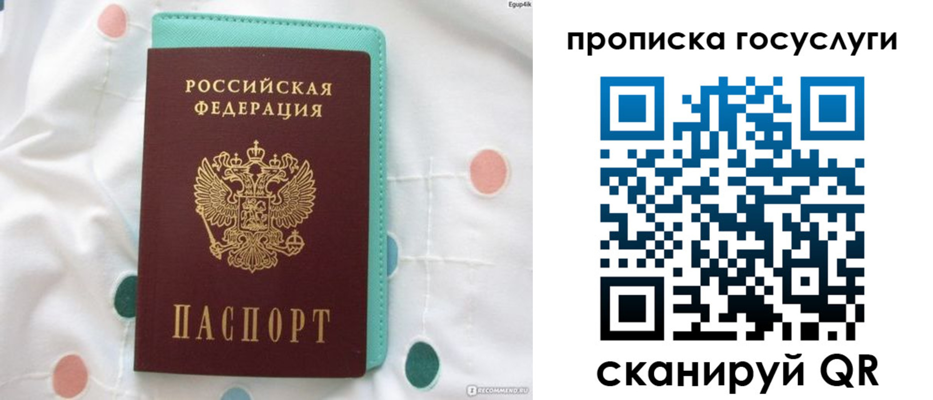 прописка поиск в Емве